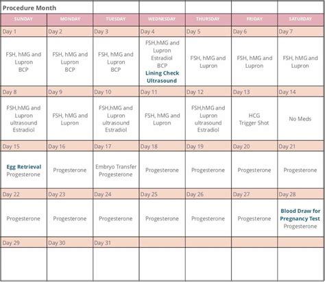 Creating an IVF Calendar | ConceiveAbilities