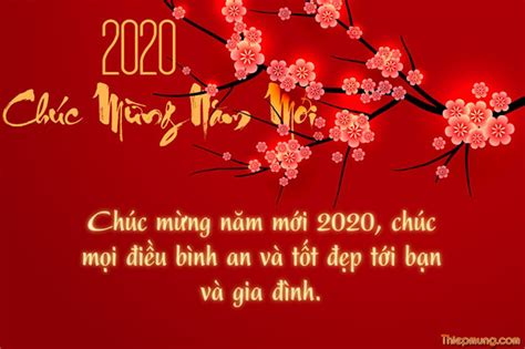 Lời chúc Tết hay và ý nghĩa 2020 dành cho gia đình, bạn bè và người yêu | Hoa Mai Bình Định