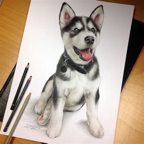 Puppy Pencil Drawing by AtomiccircuS on DeviantArt