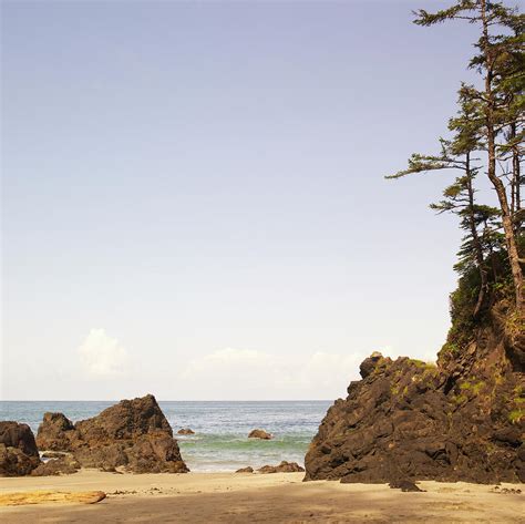 Rocky Beach Scene, Cape Scott Photograph by Adam Blasberg