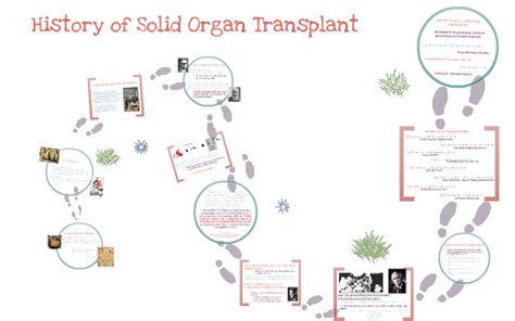 History of Solid Organ Transplantation by Alexa Ray on Prezi