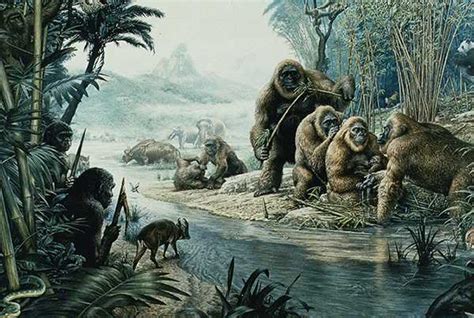 Cryptomundo » When Will The Next Gigantopithecus Fossils Be Found?