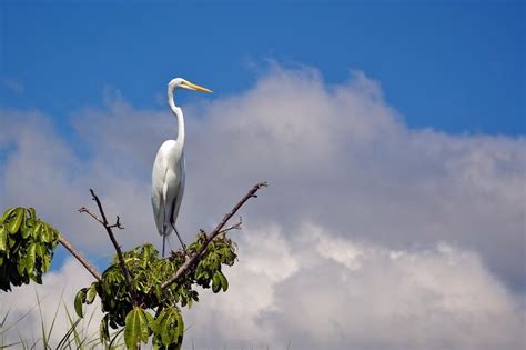 Lake Izabal, Caribbean Lowlands - Travel Guatemala 2022 | Anywhere