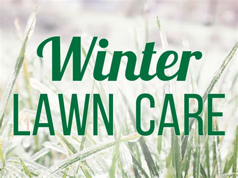 Winter Lawncare