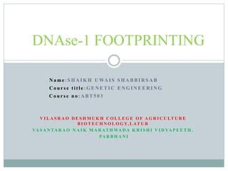 DNAse-1 Footprinting Technique | PPT