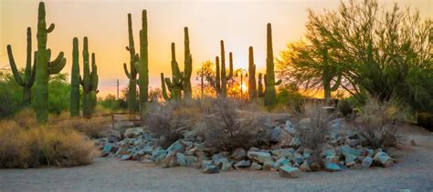 Riparian Preserve at Water Ranch | Gilbert, Arizona