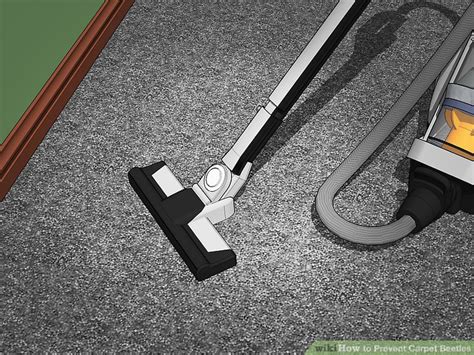 3 Ways to Prevent Carpet Beetles - wikiHow