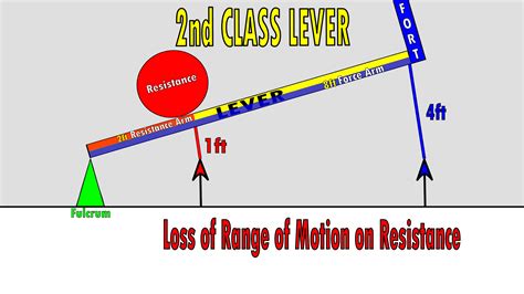 The 3 Classes of Levers – KinesiologyKris.com