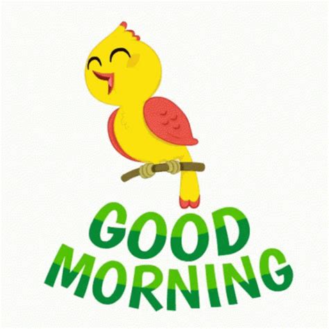 Good Morning Birdie Cute GIF - GoodMorningBirdie Bird Cute - Discover & Share GIFs