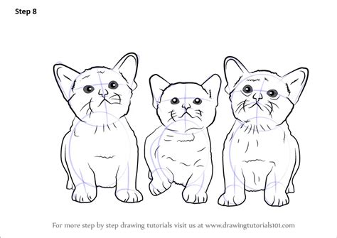 Learn How to Draw Three Kittens (Cats) Step by Step : Drawing Tutorials