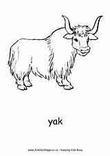 Yak Face Coloring Page sketch template