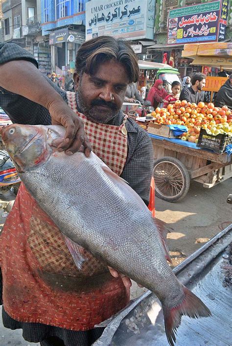 A vendor displaying fish on his cart to attract the customers