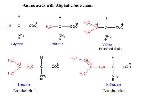 Classification of Amino acids - Chemistry Notes