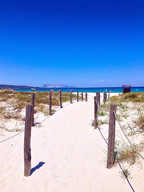 Pin su Budoni - Sardegna Sardinia