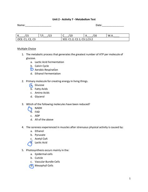 Unit 2 - Activity 7 - Metabolism Test - The metabolic process that ...