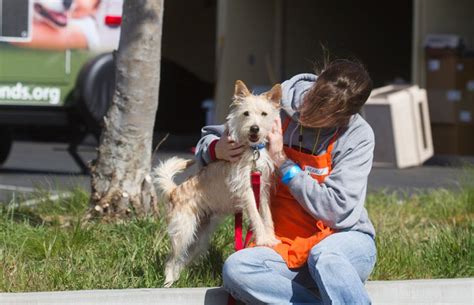 Saving More Shelter Dogs | Best Friends Animal Society - Save Them All