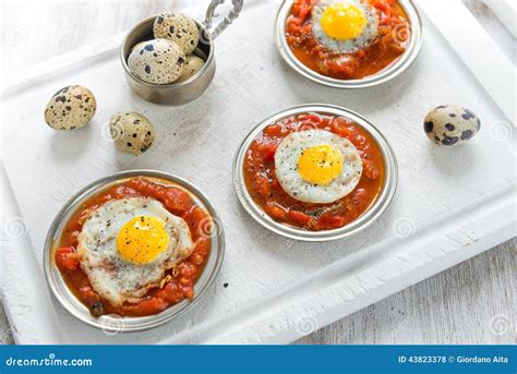 Omelette of quail eggs stock photo. Image of branch, tomato - 43823378