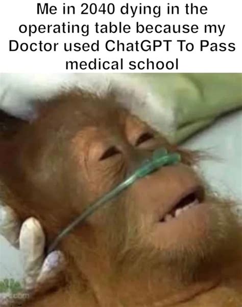 Do you think AI will be out of hand in 2024? | /r/memes | Dying Orangutan | Know Your Meme