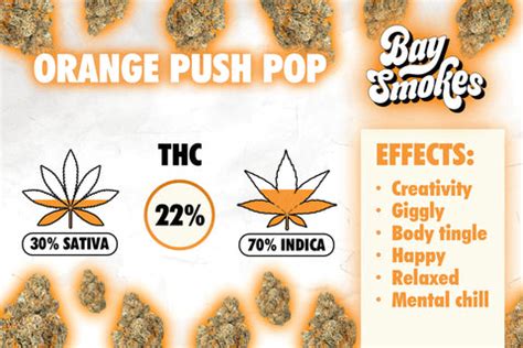 Orange Push Pop Strain | Effects & Information | Bay Smokes