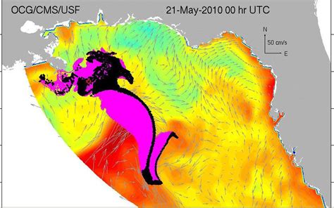 Portion of Gulf oil spill reaches loop current, say scientists - al.com