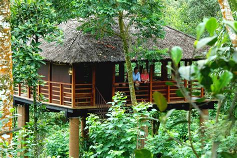 Kerala Tourism: Tree Houses in Kerala Forests