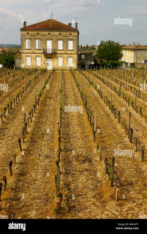 Saint Emilion Vineyard Stock Photo - Alamy