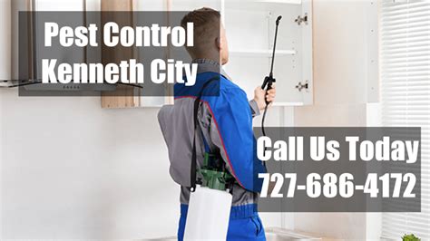 Termite Treatment Saint Pete Beach FL - Emergency Residential Pest Control