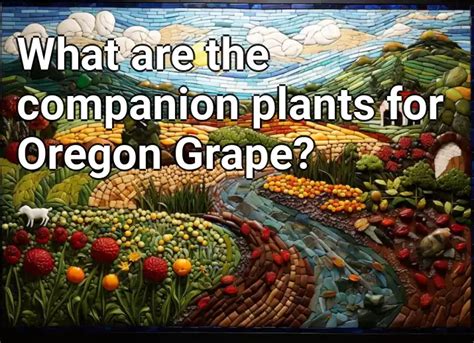 What are the companion plants for Oregon Grape? – Agriculture.Gov.Capital