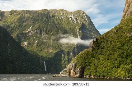 824 Milford Sound Wildlife Images, Stock Photos & Vectors | Shutterstock