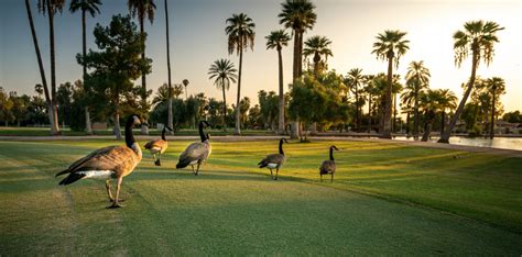 Best Phoenix Golf Courses - WONDERLUST