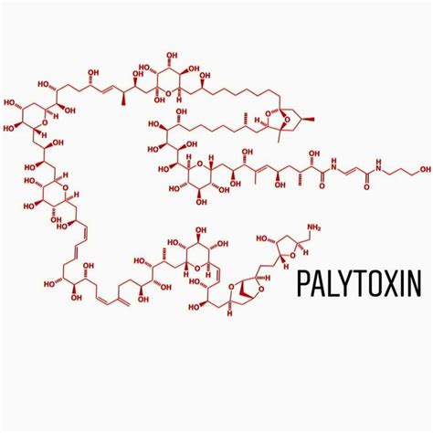 Palytoxin @wonder_of_chemistry #chemistryclass #chemistry #chemistrylove #chemistry2 # ...