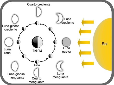 Las fases de la luna y el ciclo lunar - Diferenciador