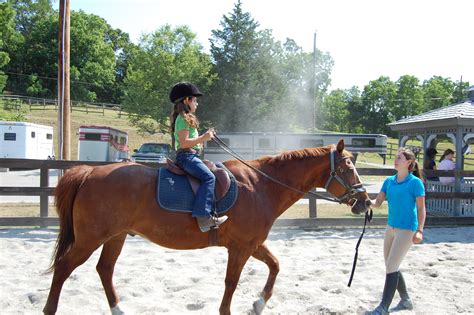 Morgan Farm Riding Lessons :: West Point :: US Army MWR