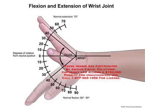 AMICUS Illustration of amicus,anatomy,range,motion,wrist,joint,flexion,extension,neutral,degrees ...