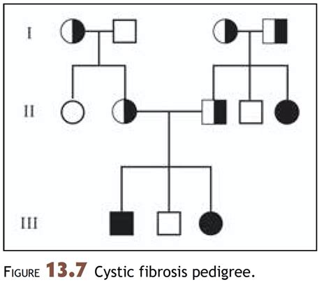 Solved Using and Constructing Pedigrees 1. Using a pedigree, | Chegg.com