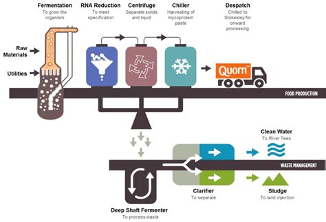 The Quorn™ fermentation process. A continuous supply of medium is fed... | Download Scientific ...