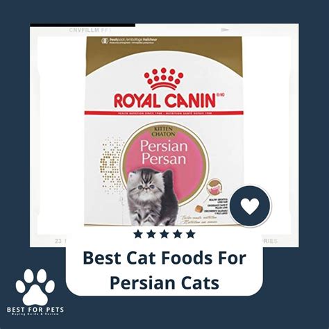 11 Best Cat Foods For Persian Cats in 2022