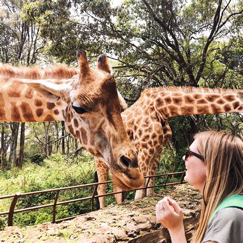 How to spend a day in Nairobi - Where Charlie Wanders