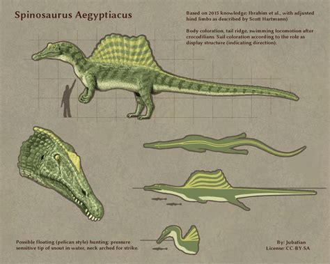 Spinosaurus Aegyptiacus 2015 by Jubatian on DeviantArt