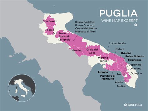 Puglia Wine is Italy's Secret to Value | Wine Folly