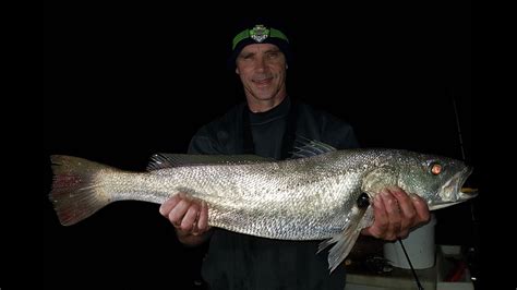 Mulloway ! Ep 36. Tips for Catching Mulloway Fishing Self Isolation ! - YouTube