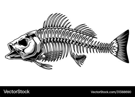 Bass fish skeleton monochrome concept Royalty Free Vector