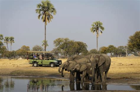 African Safari Guide to Zimbabwe - African Safaris