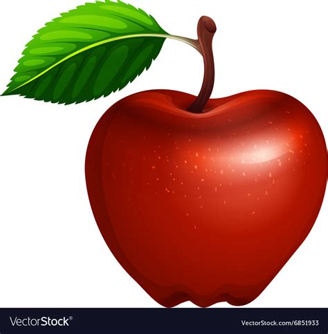 Red apple with leaf and stem Royalty Free Vector Image