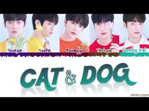 TXT - 'CAT & DOG’ Lyrics [Color Coded_Han_Rom_Eng] - YouTube