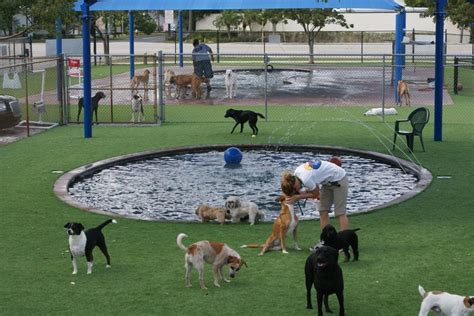 How to Create an Amazing Outdoor Play Area for Your Dog - Buy, Install and Maintain Artificial Grass