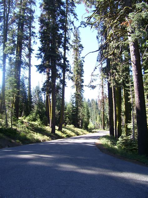 Badger Pass Ski Area Development - Yosemite National Park CA - Living ...