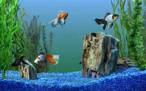 Aquarium Screensaver Windows 7 - 58+ Koleksi Gambar