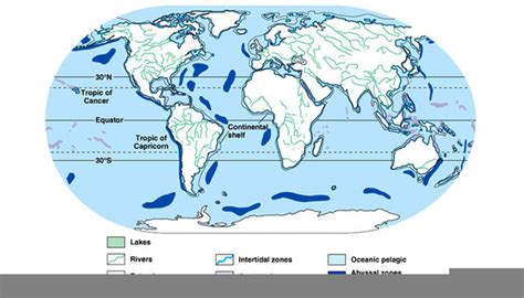 Aquatic Biomes Map | Free Images at Clker.com - vector clip art online ...