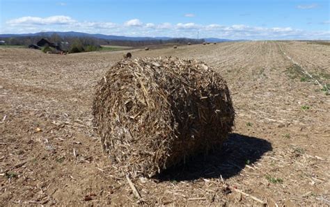 Baled Corn Stalks: Symbol of Agricultural Waste and Poverty - Getting More on the Ground